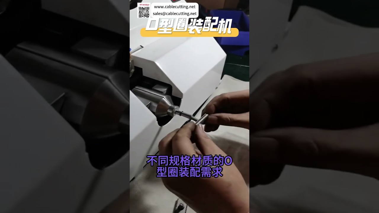 고효율 O링 조립기 | 자동 밀봉 생산 라인으로 생산성 향상