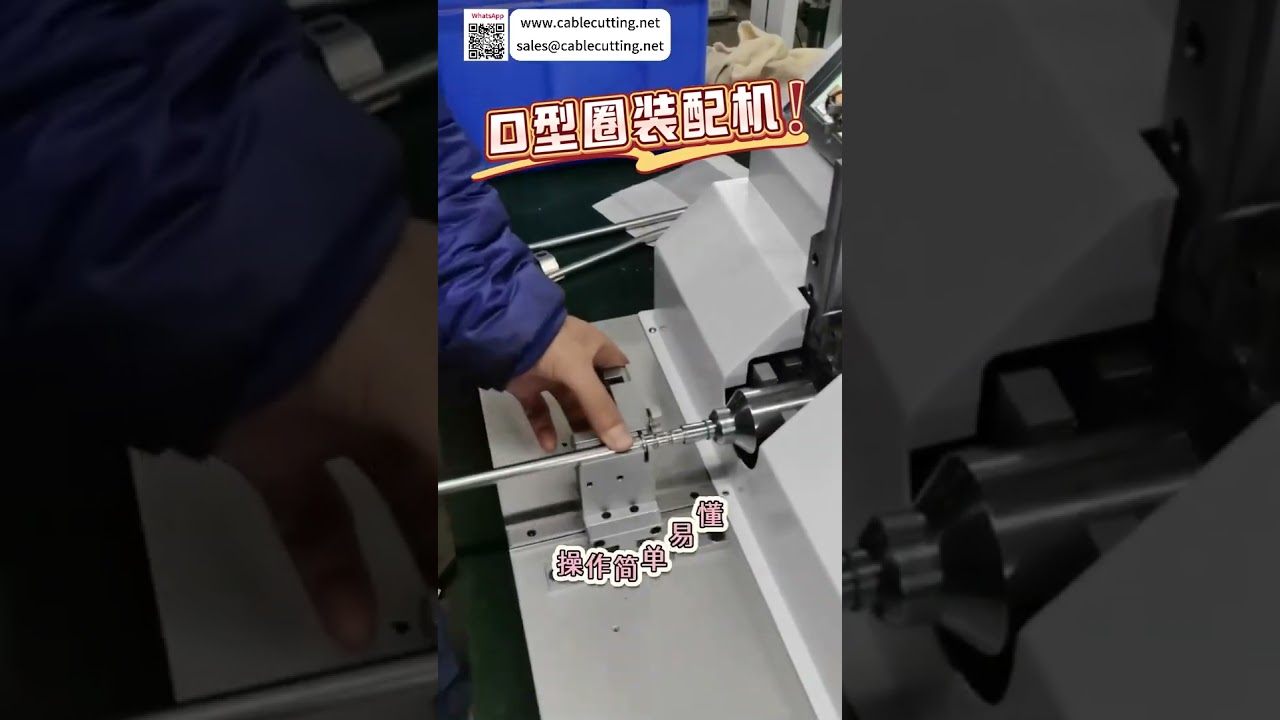 자동 O링 조립기 | 정밀 기계 구조 씰링 링 자동 장비
