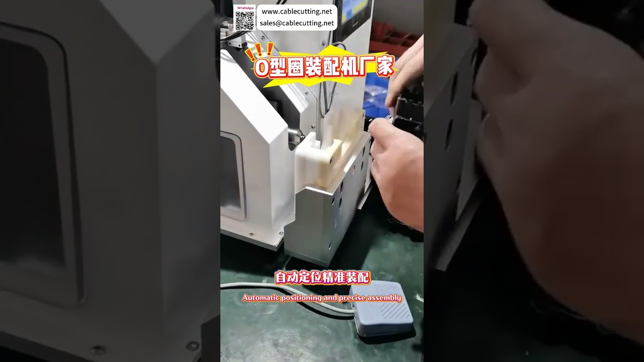 맞춤형 O링 조립 자동화 장비 | 고정밀 실링 장비 제조사